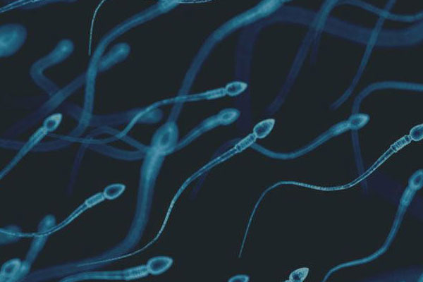 Sperm-donation-small